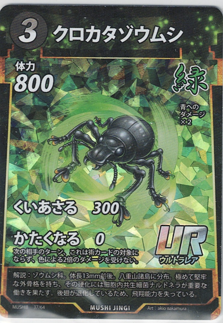 MUSHI8-037 UR クロカタゾウムシ